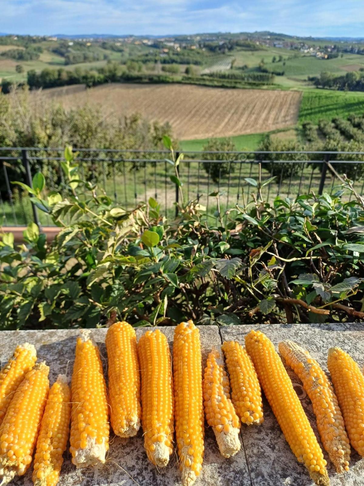 San Rocco Di Villa Di Isola D'アスティ エクステリア 写真