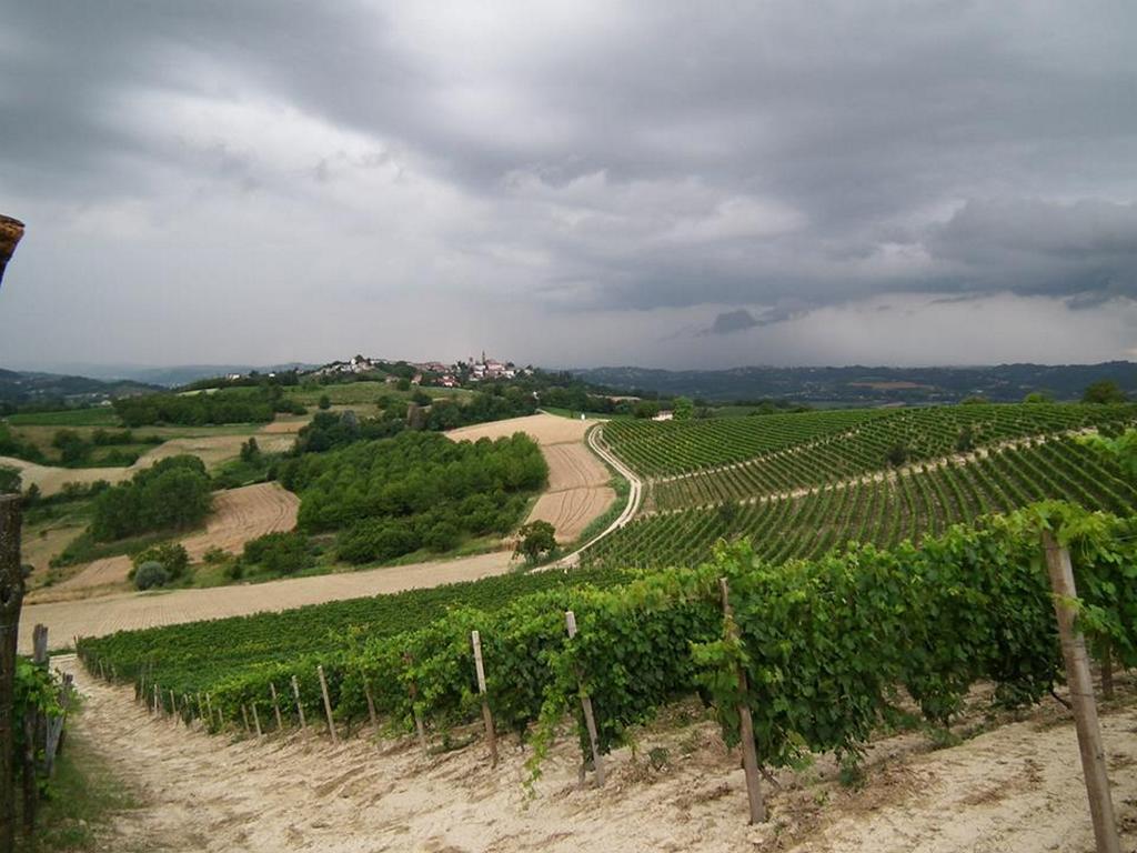 San Rocco Di Villa Di Isola D'アスティ 部屋 写真